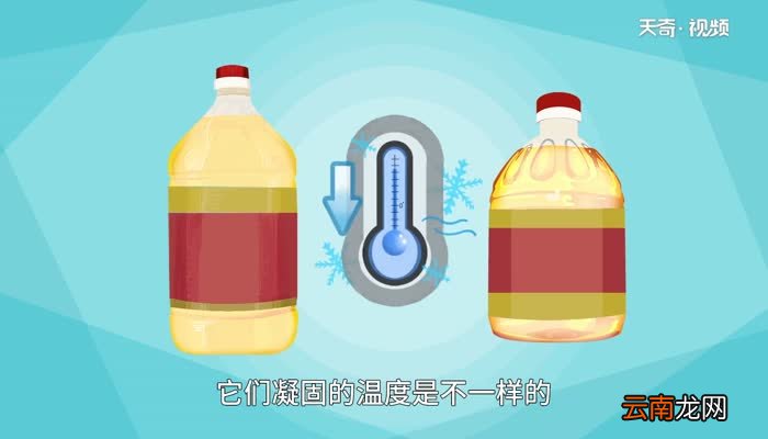 花生油放冰箱会凝固吗 花生油放冰箱会凝固成白色吗