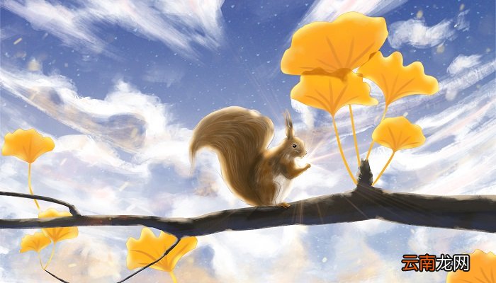 小松鼠用尾巴做什么 小松鼠的尾巴可以用来做什么