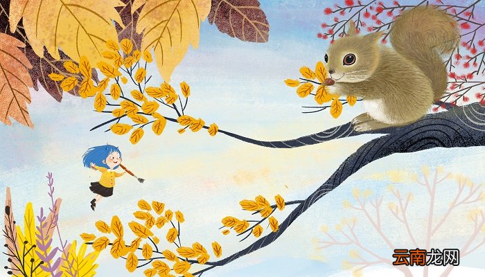 小松鼠用尾巴做什么 小松鼠的尾巴可以用来做什么