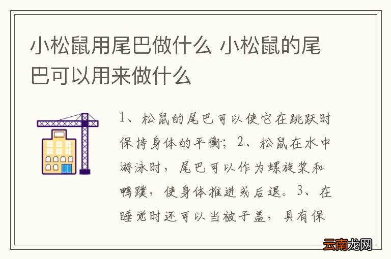 小松鼠用尾巴做什么 小松鼠的尾巴可以用来做什么