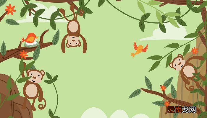 属猴的几月出生最好 属猴的哪几个月出生最好