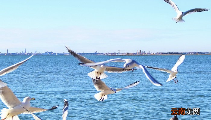 海上丝绸之路开辟于什么朝代 海上丝绸之路开辟于哪个朝代