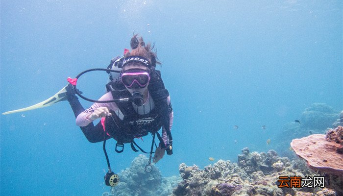 潜水是什么意思潜水是指什么意思