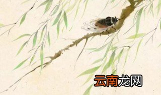 非是藉秋风的藉的意思 有关非是藉秋风原文和翻译