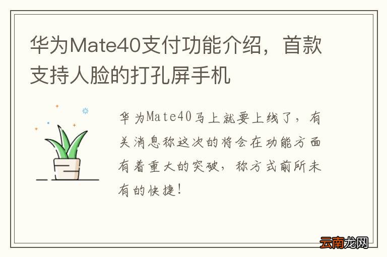 华为Mate40支付功能介绍，首款支持人脸的打孔屏手机