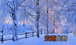 带雪的唯美短句 关于雪的经典唯美句子