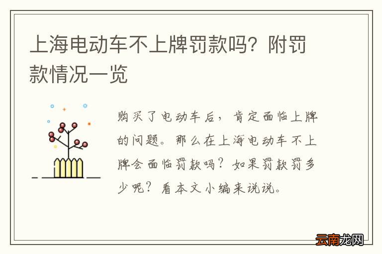 上海电动车不上牌罚款吗？附罚款情况一览