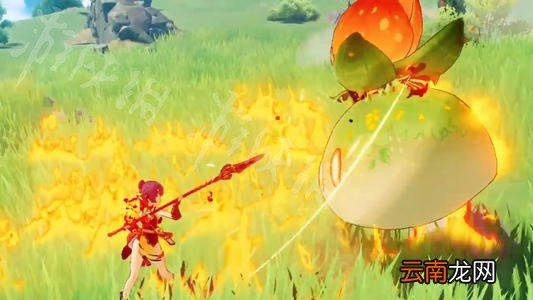 原神资源怎么刷 原神速刷资源教程