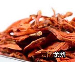 红花菜的功效及禁忌