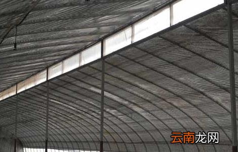 现代化生态养猪大棚建设