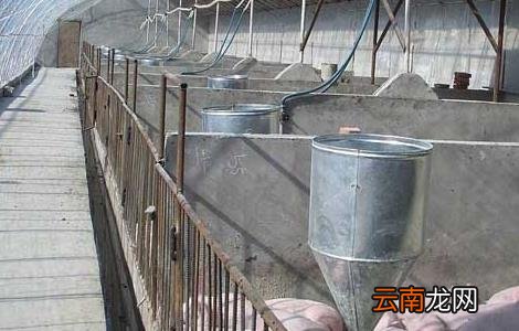 现代化生态养猪大棚建设