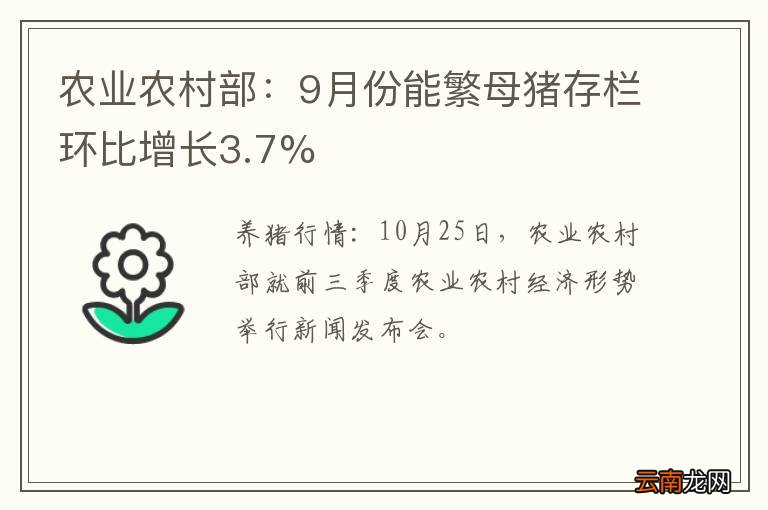 农业农村部：9月份能繁母猪存栏环比增长3.7%