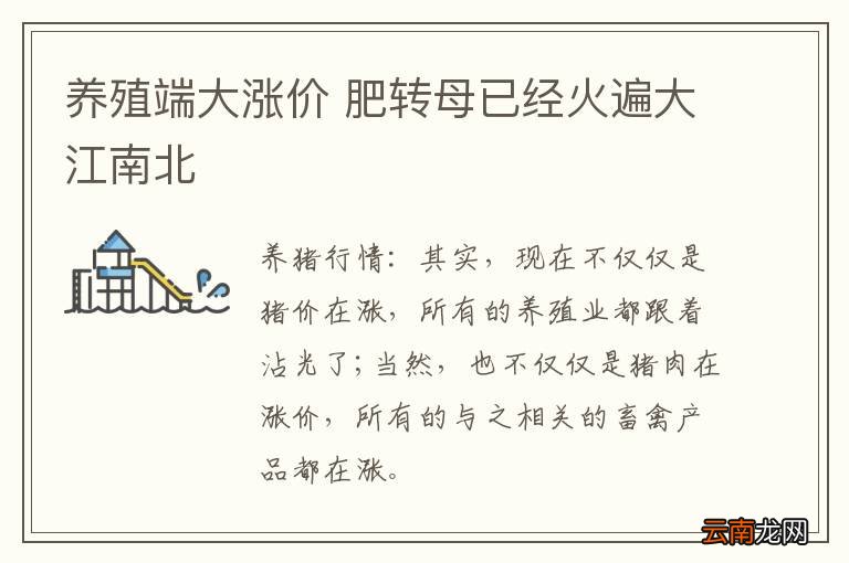 养殖端大涨价 肥转母已经火遍大江南北