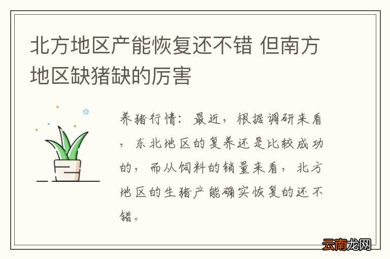 北方地区产能恢复还不错 但南方地区缺猪缺的厉害