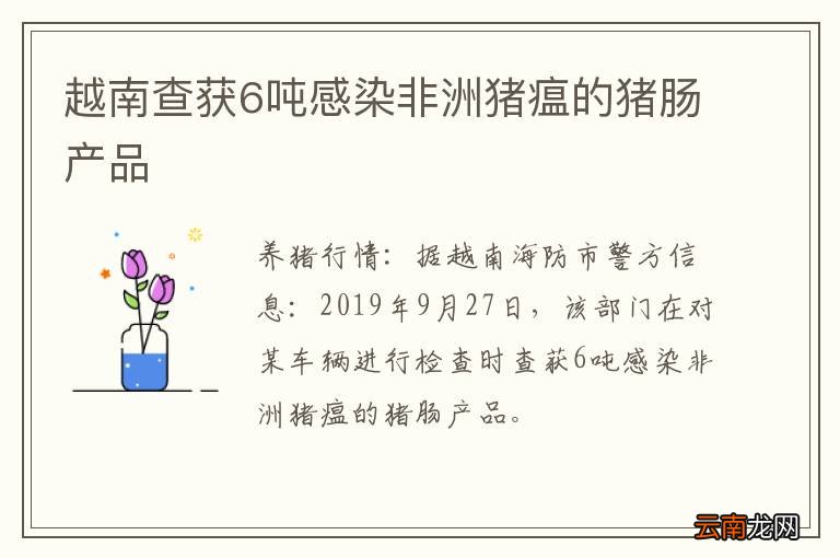 越南查获6吨感染非洲猪瘟的猪肠产品