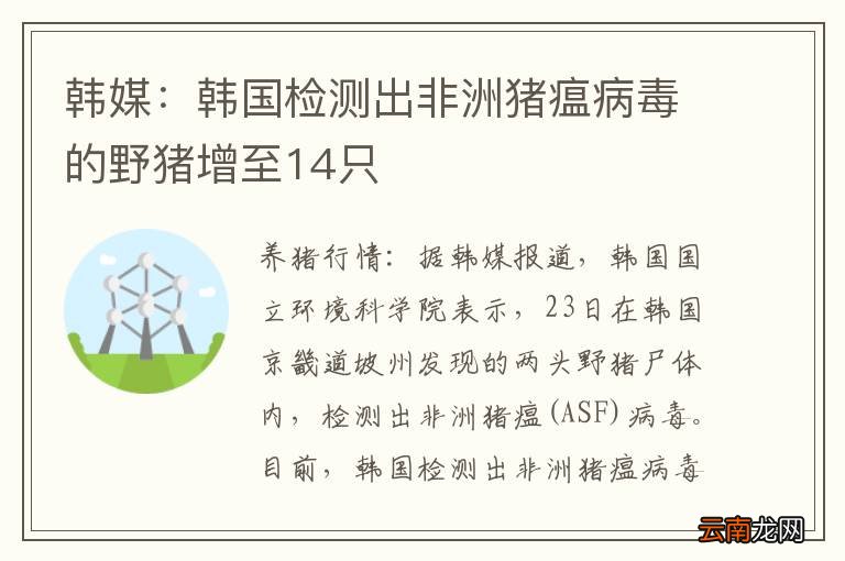 韩媒：韩国检测出非洲猪瘟病毒的野猪增至14只