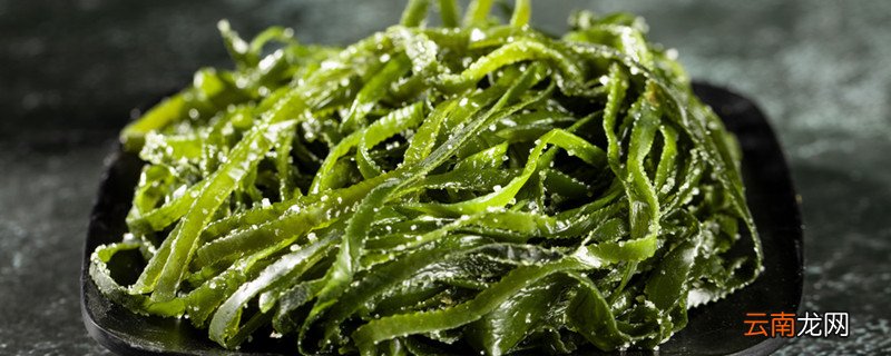 海苔和海带的区别 海苔和海带有什么不同
