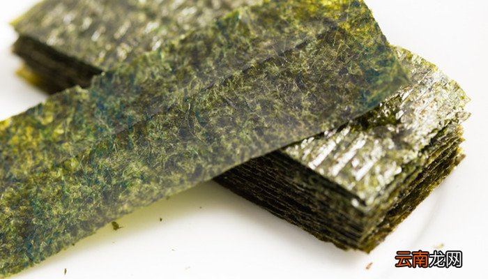 海苔和海带的区别 海苔和海带有什么不同