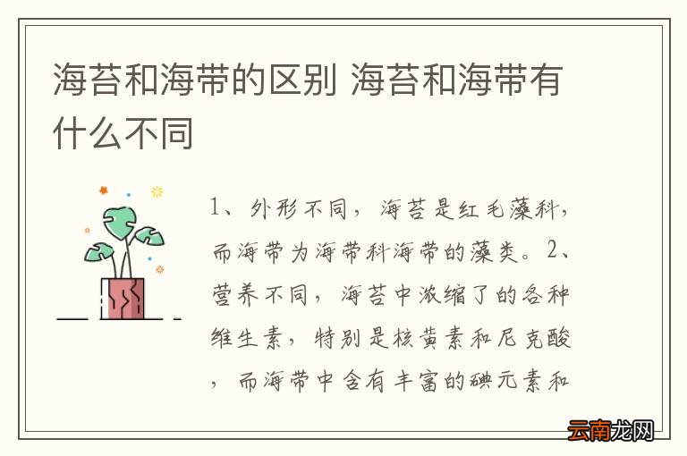 海苔和海带的区别 海苔和海带有什么不同