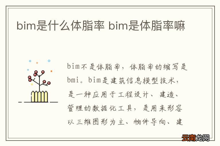 bim是什么体脂率 bim是体脂率嘛