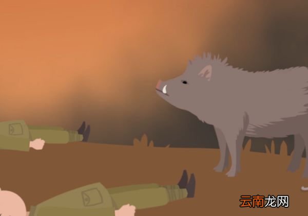 防毒面具是根据哪个动物发明的