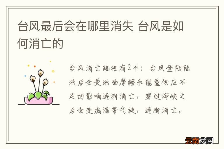 台风最后会在哪里消失 台风是如何消亡的
