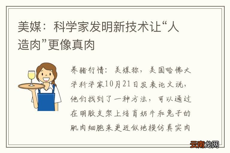 美媒：科学家发明新技术让“人造肉”更像真肉