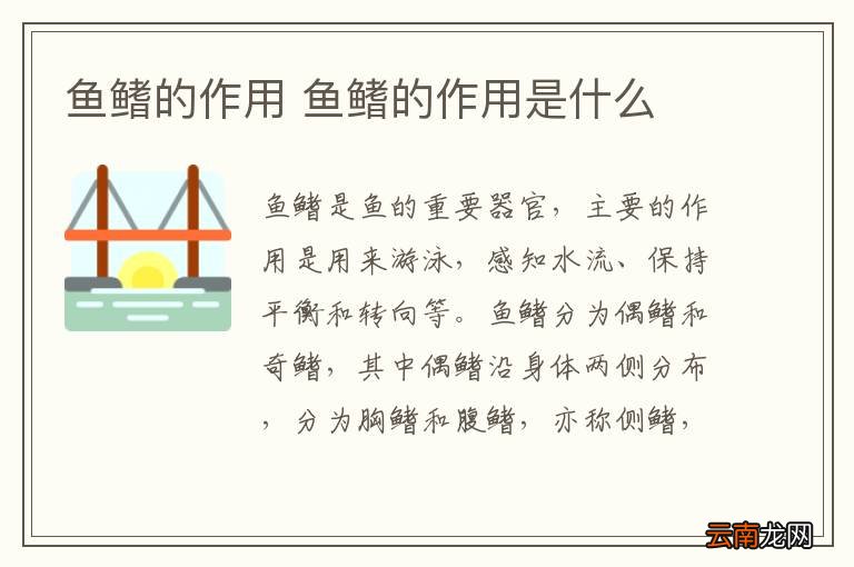 鱼鳍的作用 鱼鳍的作用是什么