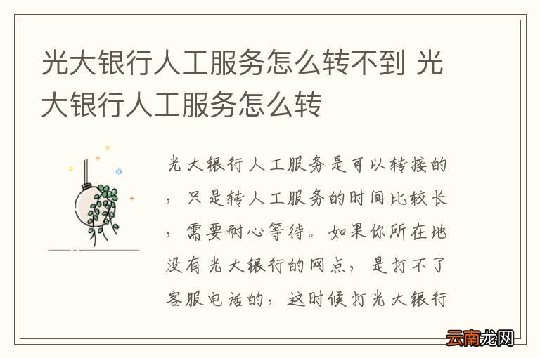 光大银行人工服务怎么转不到 光大银行人工服务怎么转