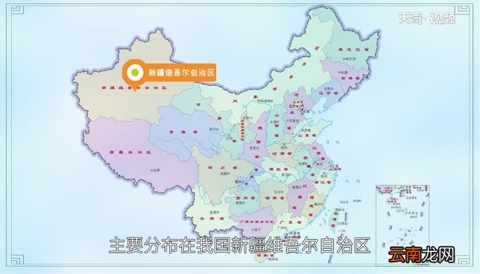 哈萨克族分布在哪个省 哈萨克族主要分布在我国的那个省区