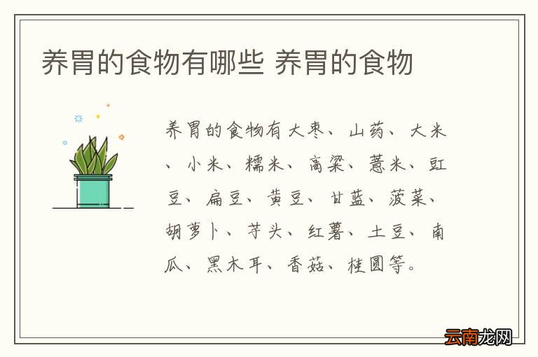 养胃的食物有哪些 养胃的食物