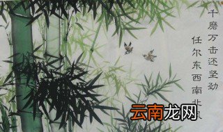 任尔东西南北风的上一句是什么 任尔东西南北风原文及译文