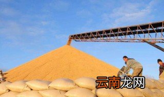 杜绝浪费的800字议论文 光盘从我做起