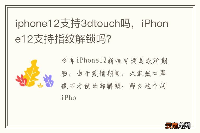 iphone12支持3dtouch吗，iPhone12支持指纹解锁吗？