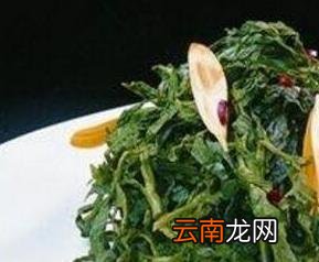 蒲公英如何吃 蒲公英的食用方法