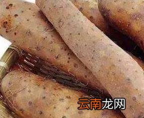 紫薯山药有什么好处和坏处