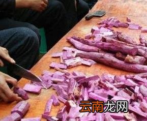 紫玉山药的功效与作用