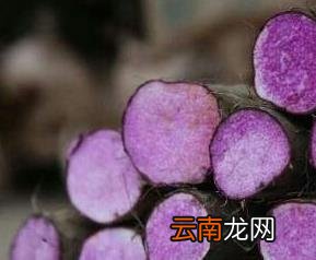 紫玉山药的功效与作用