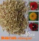 白茅根的功效与作用