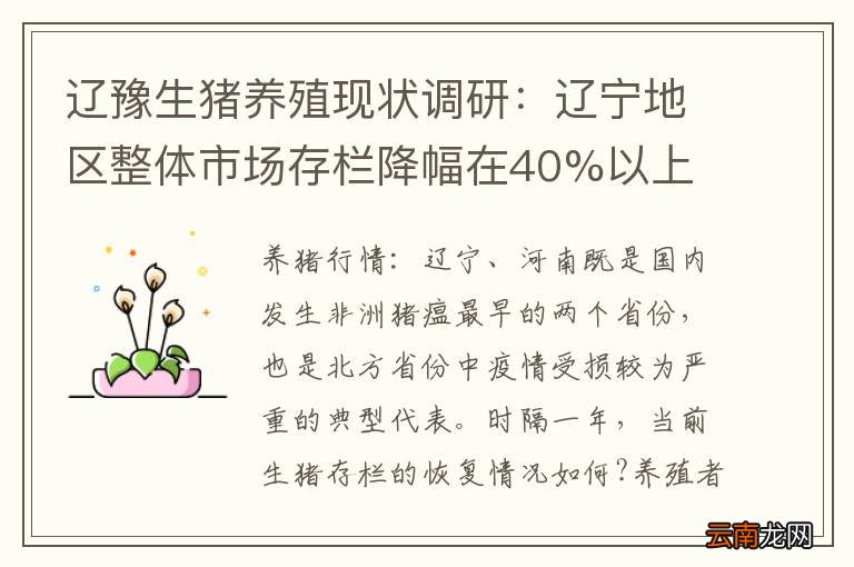 辽豫生猪养殖现状调研:辽宁地区整体市场存栏降幅在40%以上