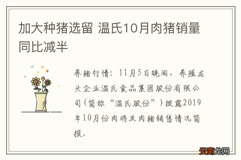 加大种猪选留 温氏10月肉猪销量同比减半