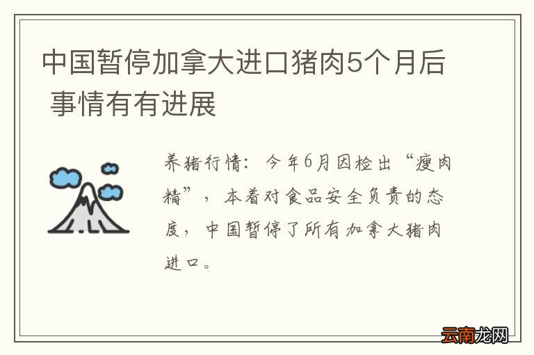 中国暂停加拿大进口猪肉5个月后 事情有有进展