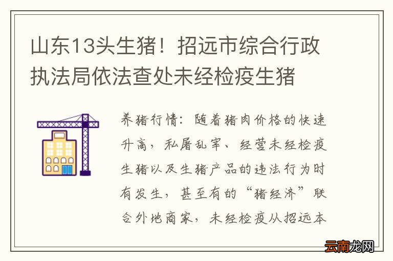 山东13头生猪！招远市综合行政执法局依法查处未经检疫生猪