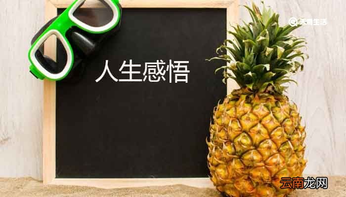 人生感悟的句子 人生感悟经典名言大全