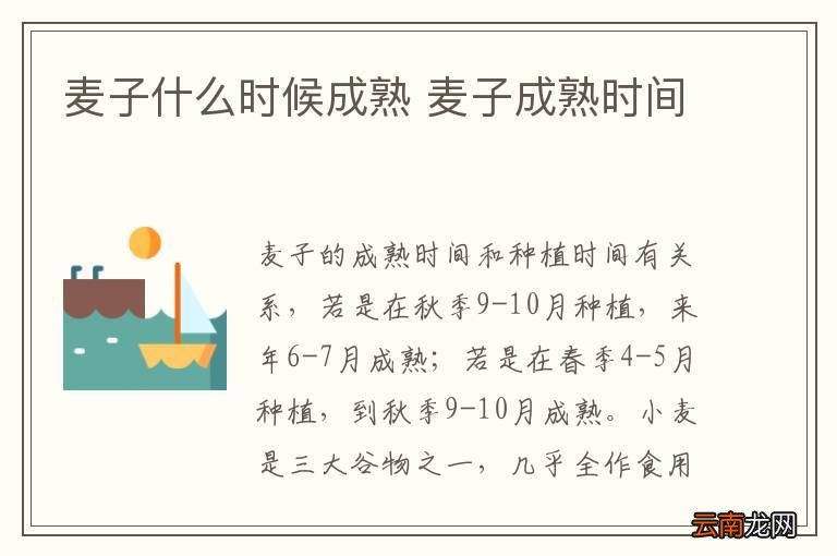 麦子什么时候成熟 麦子成熟时间