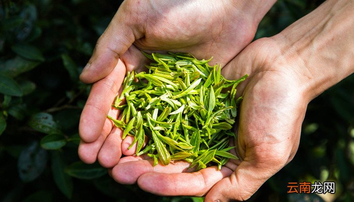 贵州三大名茶是哪三茶 贵州三大名茶是哪三种