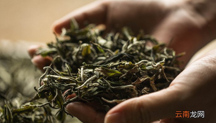 贵州三大名茶是哪三茶 贵州三大名茶是哪三种
