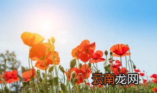 为什么天空是蓝色的 天空是蓝色的原因
