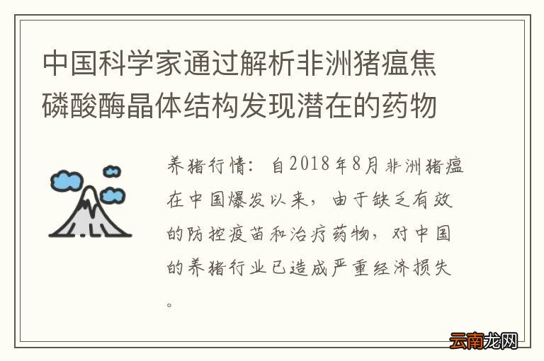 中国科学家通过解析非洲猪瘟焦磷酸酶晶体结构发现潜在的药物治疗