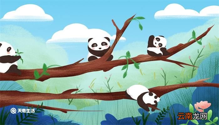 冬奥会的吉祥物叫什么名字 冬奥会的吉祥物是什么